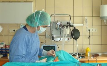 Clínica Veterinaria Los Cantos