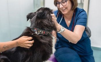 Clínica Veterinaria La Huella