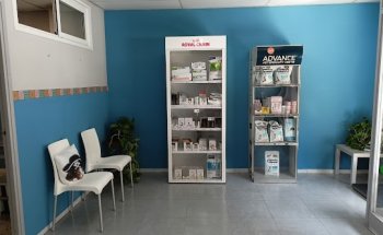 Centro Veterinario San Antonio