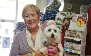 Centre Veterinari Apenins