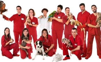 Zoològic Veterinarios