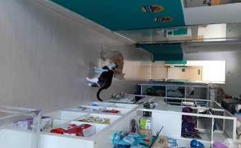 Clínica Veterinaria Bau-Bau