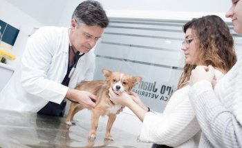 Clínica Veterinaria Praxia