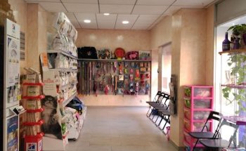 Clínica Veterinaria Dama y Vagabundo