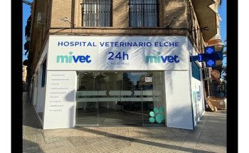 Hospital Veterinario Elche | MiVet