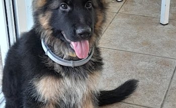 Clínica Veterinaria Valero