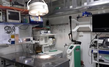 Hospital Veterinario Indra 24h