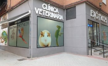 Clínica Veterinaria Exóticos