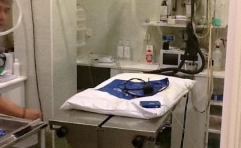 clínica veterinaria Panda