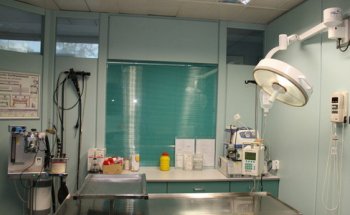 CLINICA VETERINARIA LORANCA