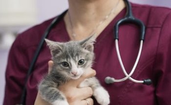 Centro Veterinario Zaragoza