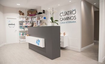 Clínica Veterinaria Cuatro Caminos