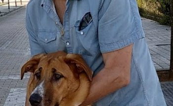 Clinica Veterinaria Villa de Gijon