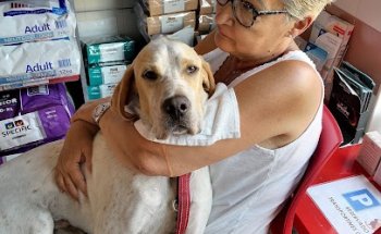 Clínica Veterinaria Contrueces