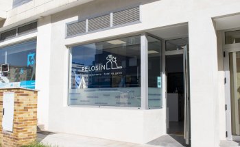 Centro Veterinario Pelosín