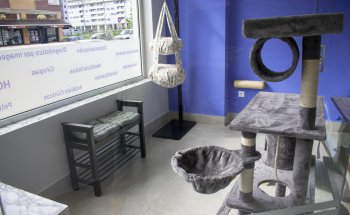 Centro Veterinario Pelosín