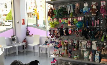 Centro Veterinario Vigil