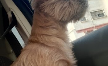 Clínica Veterinaria El Duque S.L