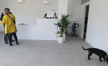 Clínica Veterinaria Gran Duque