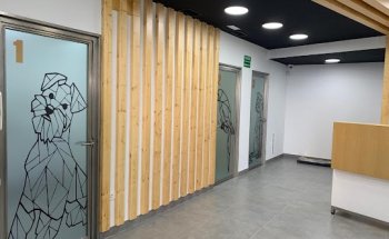 Centro Veterinario Nueva Andalucía