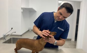 Clinica Veterinaria Asta Regia Jerez
