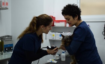Clínica Veterinària Solvet