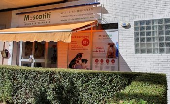 Clínica Veterinaria Mascotiti Leganés