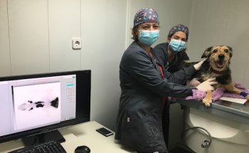 Clínica Veterinaria Leganés Norte