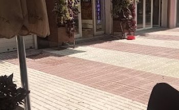 WolikVet Clinica Veterinaria - Marbella