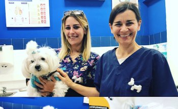 Centro Veterinario Equus Can