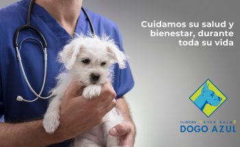 Clínica Veterinaria Dogo Azul Marbella