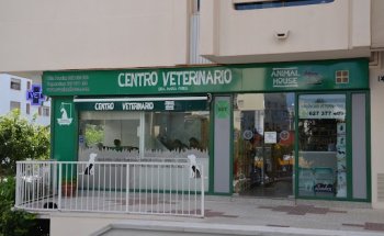 María Funes Villalba