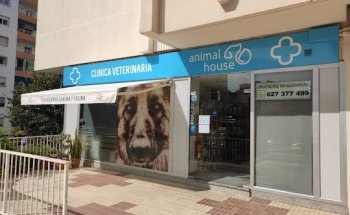 Clinica Veterinaria Animal House