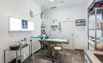 Clínica Veterinaria Metazoo