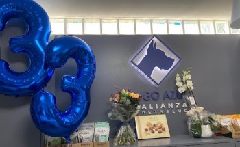 Clínica Veterinaria Dogo Azul Elviria