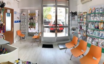 Punto Pet Clínica Veterinaria