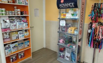 centro veterinario El Nido