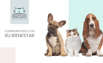Clínica Veterinaria Mas Iglesias WECAN