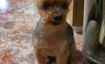 Centre Veterinari La Creu