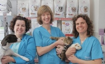 Clinica Veterinaria Enedos