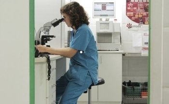 Clinica Veterinaria Enedos