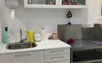 MORERA CLÍNICA VETERINÀRIA