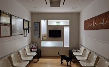 CENTRE VETERINARI CREU ALTA