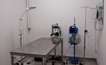 GrameVet Clínica Veterinaria