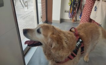 Clínica Veterinaria Progrés