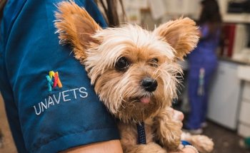 Hospital Veterinari Abat Marcet