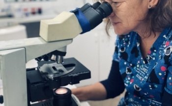 Clínica Veterinària La Mola