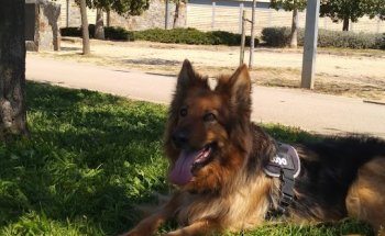 María Eugenia Mateu Camañes