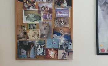 Consultori Veterinari Can Parellada