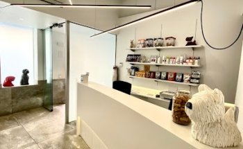 Clínica Veterinaria Grau